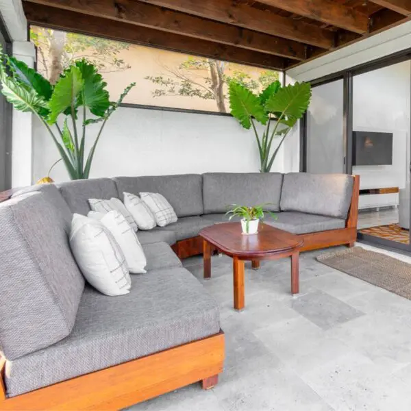 A couch and table in a room with plants.