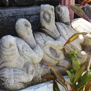 Stone turtle sculptures near tropical plants.