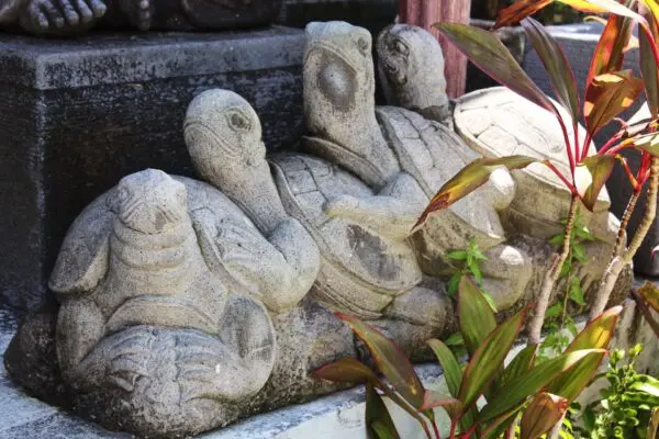 Stone turtle sculptures near tropical plants.