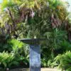 Modern fountain surrounded by lush greenery.