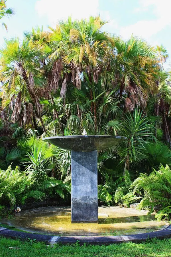 Modern fountain surrounded by lush greenery.