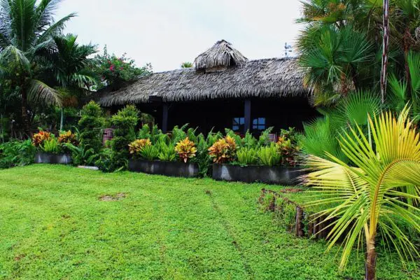 Tropical house surrounded by lush greenery.