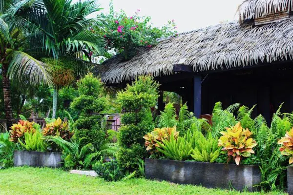 Tropical garden with a thatched roof house.