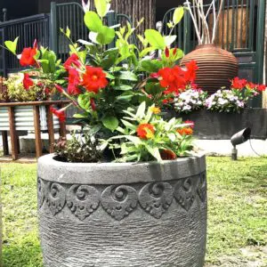 Decorative pot filled with vibrant flowers.