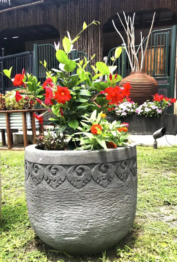 Decorative pot filled with vibrant flowers.