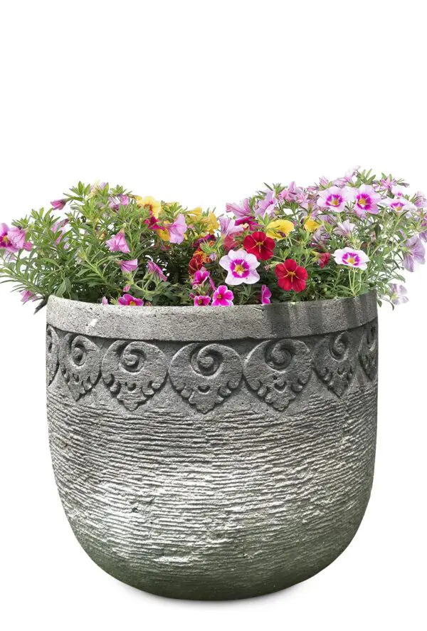 Flower pot with colorful blooming flowers.