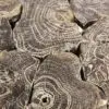 Fossilized wood pieces with intricate patterns.
