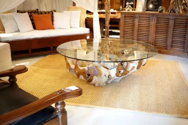 A glass top coffee table with shells on it.