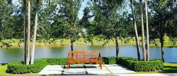 Bench by a lake surrounded by trees.