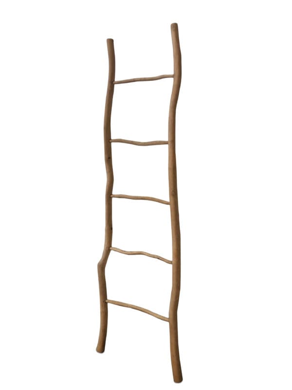 A ladder made of wood with a few branches on it