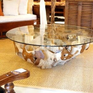 A glass top coffee table with shells on it.