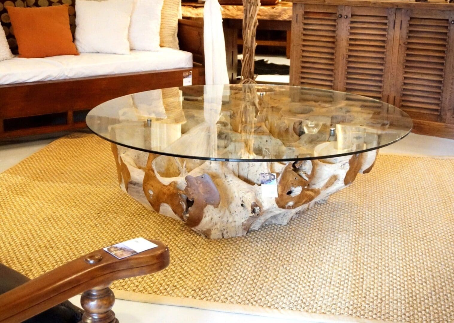 A glass top coffee table with shells on it.
